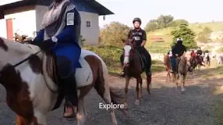 Cape Cavallho - Horse Riding In Malaysia