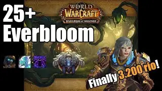25+ Everbloom | WoW Mythic + | Discipline Priest Gameplay | Pug adventures