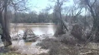 Sacramento Discovery park under water (March 2023)