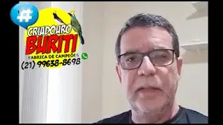 IMPORTÂNCIA DAS FEMEAS EM UM PLANTEL DE SUCESSO - OSCAR CRIATÓRIO BURITI