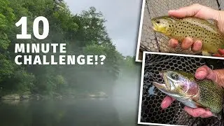 FAST Trout Fishing on the Farmington River West Branch