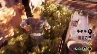 Family Gameplay
