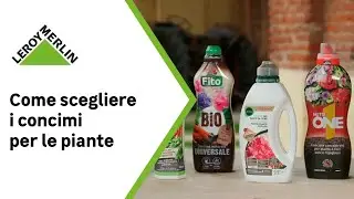 Come scegliere il giusto concime per piante | Leroy Merlin
