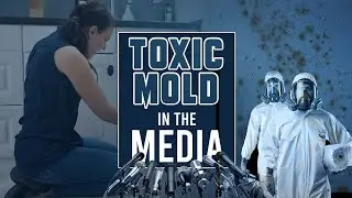 Toxic Mold Exposure Stories: In The Media