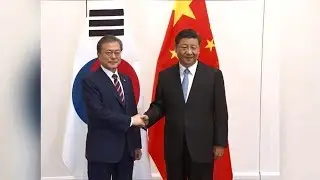 Chinese and South Korean presidents discuss DPRK, bilateral ties