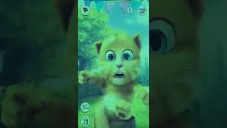 talking ginger gameplay, funny cat video 🐈 #talkingtom #cat #shorts