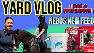 EQUESTRIAN YARD VLOG /                       WHAT I FEED MY HORSE  & I WON A LESSON