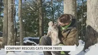 South Jersey man uses professional tree climbing skills to save cats who've gotten stuck
