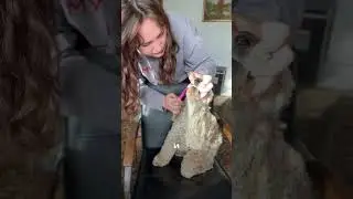 #WW146737 &mdash; копируй и вставляй на WB 🦷