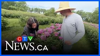 Farm based tourism growing