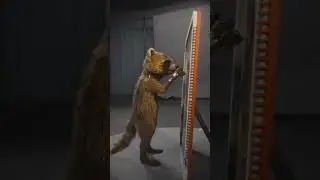 Rocket Draw a Lylla Painting #rocket #marvel #mcu#gotgvol3#guardiansofthegalaxyvol3#trending#shorts