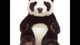 Shoolins  Surfin' Panda