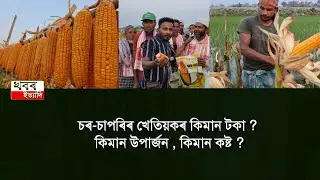 See How much income of Assam Char Chapori Pharmer