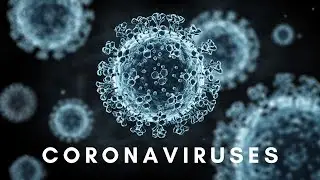 Understanding Coronaviruses: From Origins to Impact