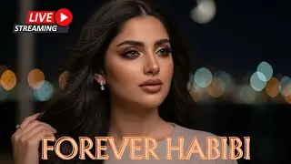 Arabic Habibi Love Song &ndash; Luxury Arabic Romantic Music ❤️