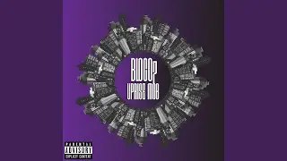 Bloco 7