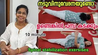 പ്രശ്&zwnj;നം നടുവിനുവേദനയല്ലേ, ഇതാ പരിഹാരം.10 minute spinal stabilization exeecises for backpain relief.
