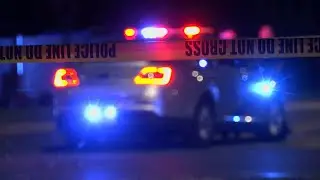 DOJ investigation cites more than 60 different examples of alleged misconduct by Louisville police