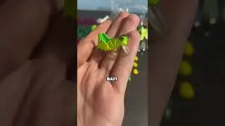 THIS Is The WORST FISHING Lure OF ALL TIME!!! 🤦😳 #fishing #why #viral #shorts