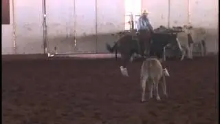 Outlaw Quixote: 73.5  Ridden by Patrick Stull