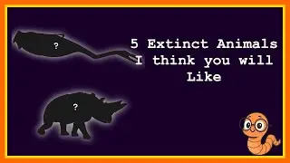 5 Extinct Animals I think you will like