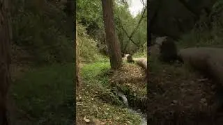 Ardebil, Iran nature