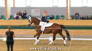 Kathin Humann (AUT) - CVI2 Female 09 - CVI Ebreichsdorf 2017