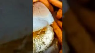 most expensive street food gold plated Vada pav rupees 2000 India most expensive food 😱😱😱😊😊