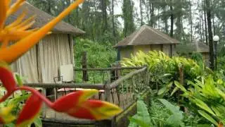 Exotica The Beach Resort - Diveāgar - India