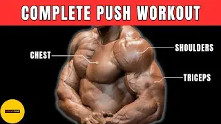 Complete Guide of PUSH WORKOUT : Push Day || Push-Pull Legs