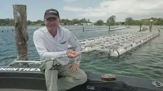 Catching Bream on Soft Plastics with Michael Guest