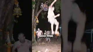Don&rsquo;t Mock the Cult Rituals #Roo790k