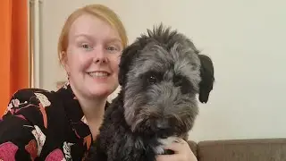 nieuw hondje voorstellen + trucjes