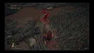 NPC Invader - Anastasia - Caelid
