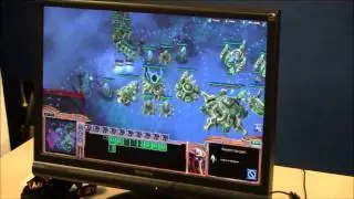 Hotkeyit Round 3 Coverage includes QxGiNkA vs Amalaxinaoum