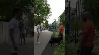 Задайте вопрос юристу: как понять разницу в законодательстве Джорджии и Луизианы