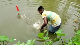 Big Fish Hunting By Cast Net | Traditional Net Fishing With Beautiful Nature (Part-04)
