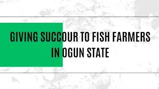 Giving Succour To Fish Farmers In Ogun State
