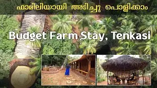 Woods farm house | Village farm house stay | Budget friendly resort in Tenkasi