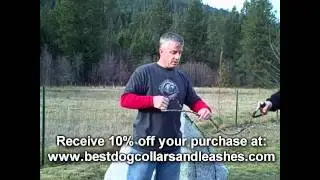Cujo Dual Dog Leash