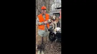 Быстрая и увлекательная охота на кроликов в Луизиане с биглями.