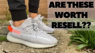 YEEZY 350 V2 TAILLIGHT Review & On Foot