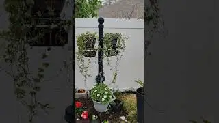 Shibu's memorial garden &hearts;️🙏