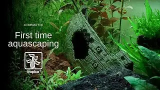My very first aquascape - The intro tank