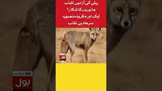 Thar Jeep Rally 2022 | Illegal Deer Hunting | Bol News