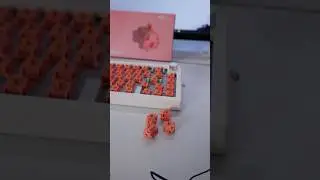 Акустические переключатели из палисандра (со звуковым тестом) #акустика