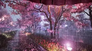 Taking a walk in a park with cherry blossoms in full bloom with an umbrella