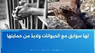 صور لإمرأة تقوم بحܝ‌ܦ̈ܙ‌ حصان تثيرغضبا في مواقع التواصل: ناشط في المجتمع المدني يوضّح..