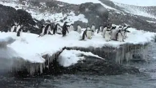 Antarctica 2013