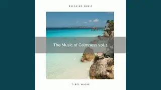 Dreams of Ocean Vibes with Nature Sounds for Total Recharge pt. 1